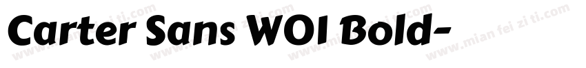 Carter Sans W01 Bold字体转换